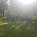 Au Coeur De Foret