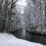 Au Coeur De Foret