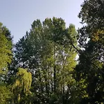 Domek alpejski Au Coeur De Foret *