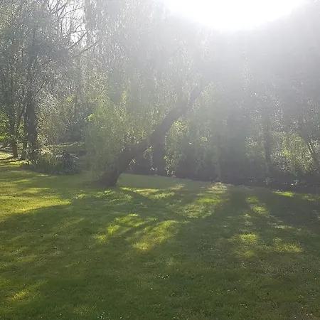 Au Coeur De Foret