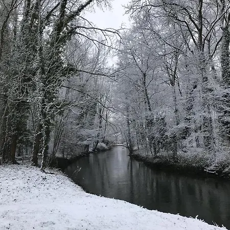 Au Coeur De Foret