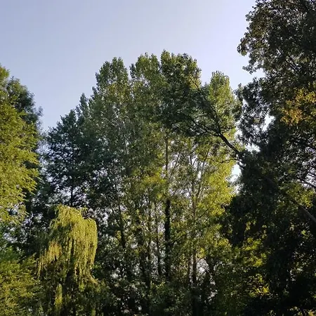 Alpesi faház Au Coeur De Foret *
