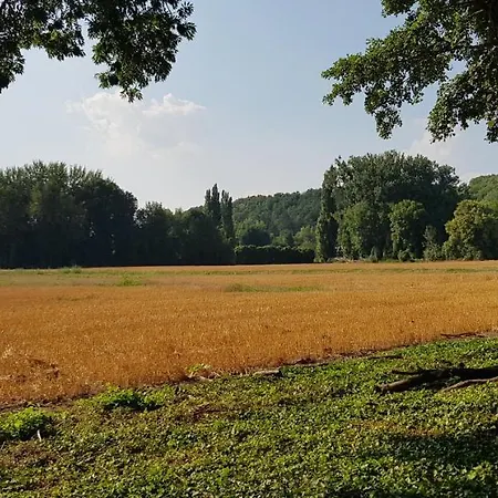 Alpesi faház Au Coeur De Foret Gouvieux